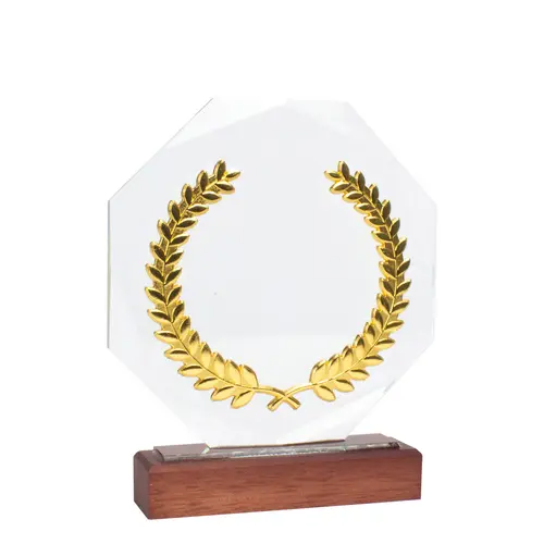 Trofeo Galvano de Madera, Cristal y Acero "Phelps"