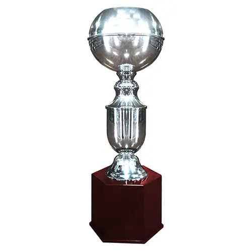 Copa Alemania 217