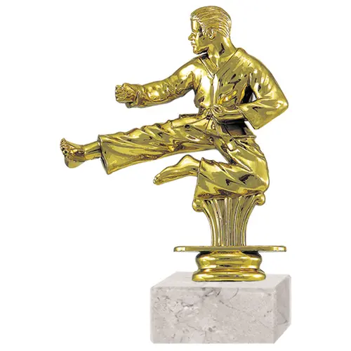 Trofeo Plástico Karate RP-8416 (34)