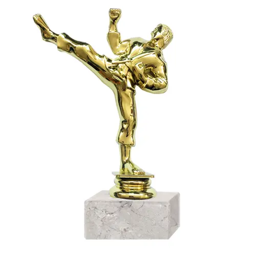 Trofeo Plástico Artes Marciales RP-8015 (67)