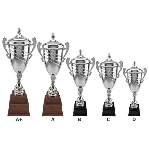 Copa Fierro16