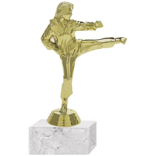 Trofeo Plástico Karate Femenino 2 (198)
