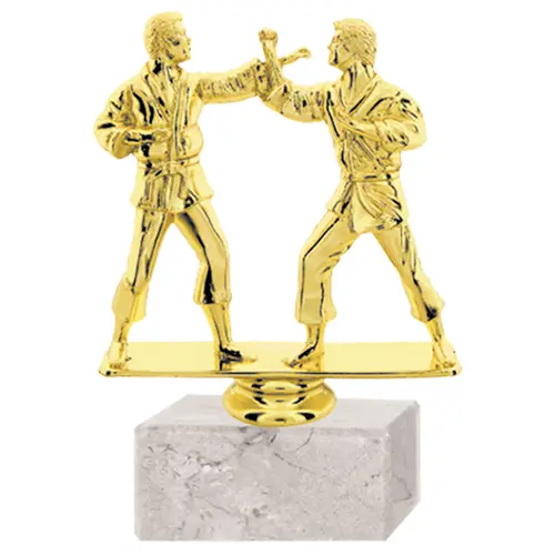 Trofeo Plástico Karate Doble RP-8095 (110)