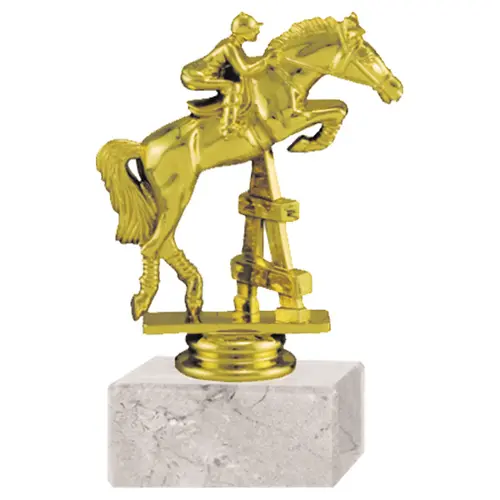 Trofeo Plástico Equitación RP-8948 (75)