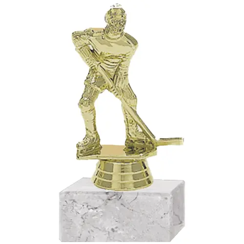 Trofeo Plástico Hockey Hielo Masculino (174)