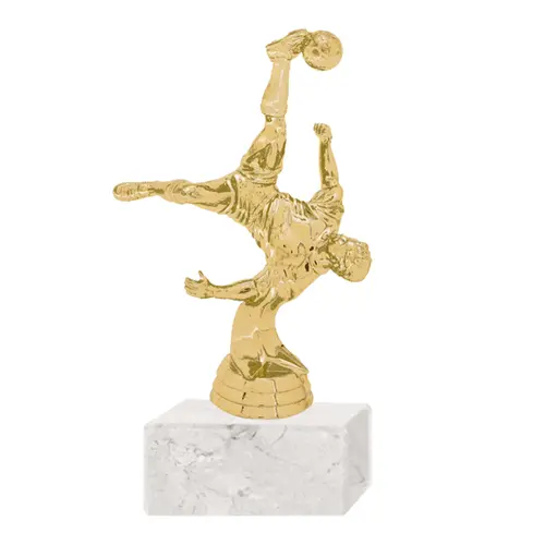 Trofeo Plástico Fútbol Chilena (108)