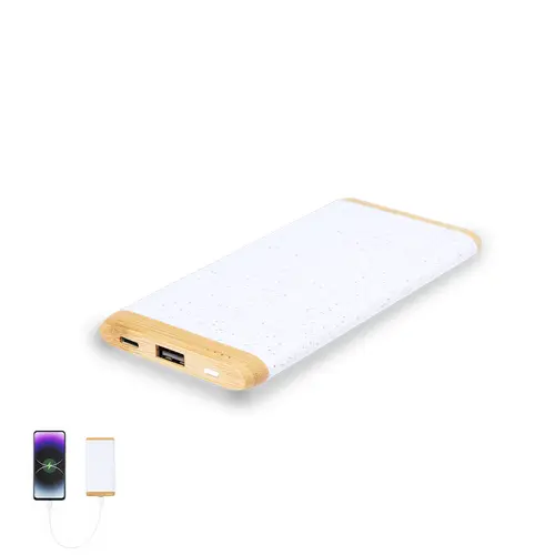 Power Bank Coquin