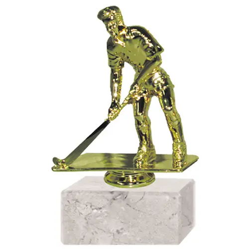Trofeo Plástico Hockey Masculino RP-8147 (76)