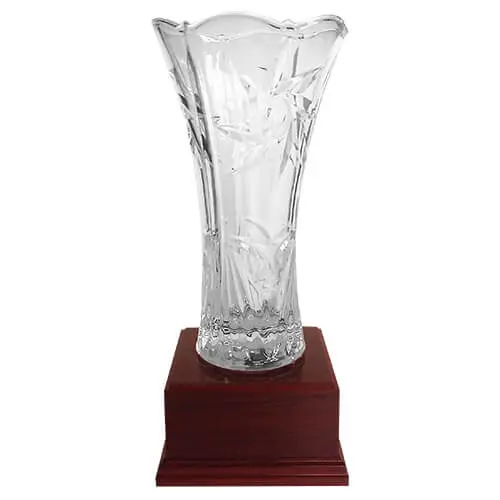 Copa DBR