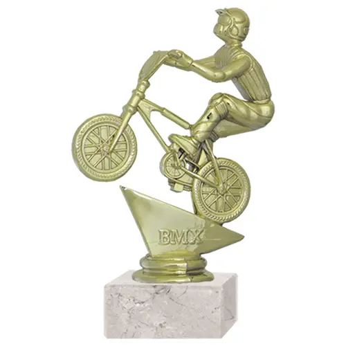 Trofeo Plástico Mountain Bike RP-8009 (53)