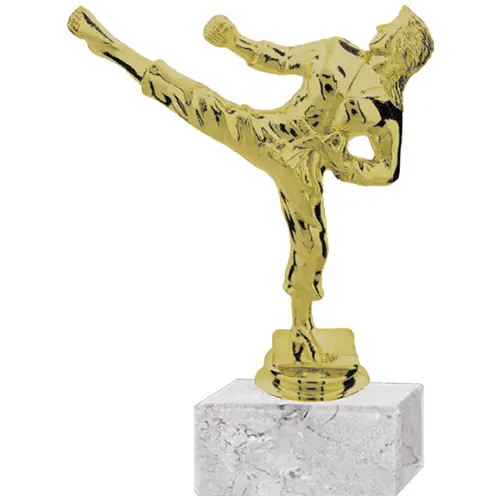 Trofeo Plástico Karate Femenino (141)