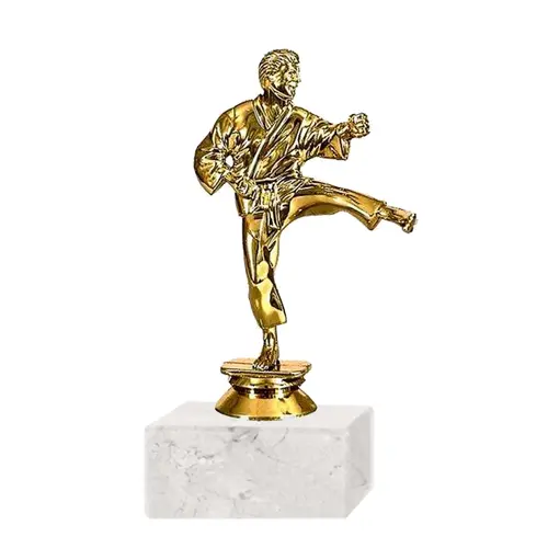 Trofeo Plástico FR Karate Mediano (327)