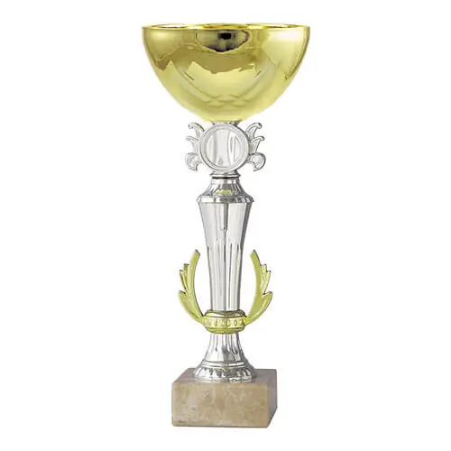 Copa BLAS 7