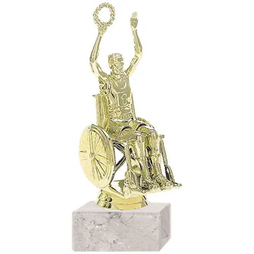 Trofeo Plástico Paraolímpico Masculino RP-6001 (96)