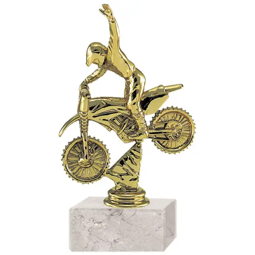 Trofeo Plástico Motocross RP-8413 (29)